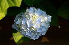 光差す
