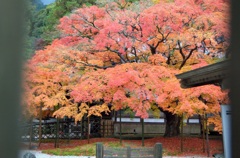 雷山観音