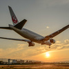 JAL Boeing 777-289 JA8979