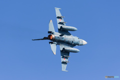 築城基地航空祭2015 F-2A