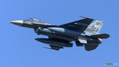 築城基地航空祭2015 F-2A