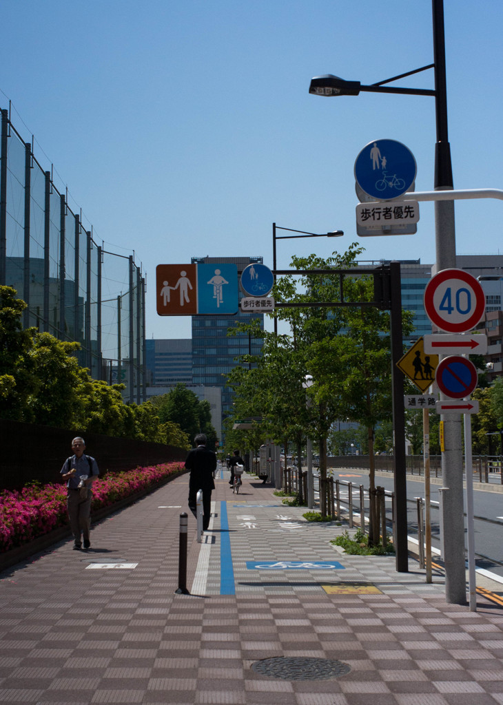 散歩道2