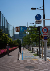 散歩道2