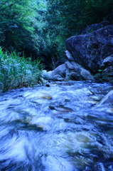 kashihara1
