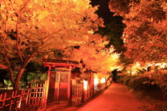 紅葉を見に行こうよう～栗林公園～　