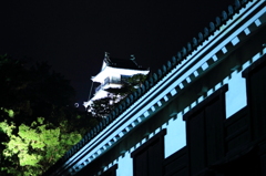 高知城