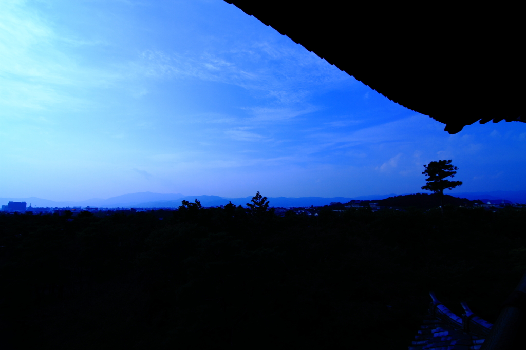 限定公開