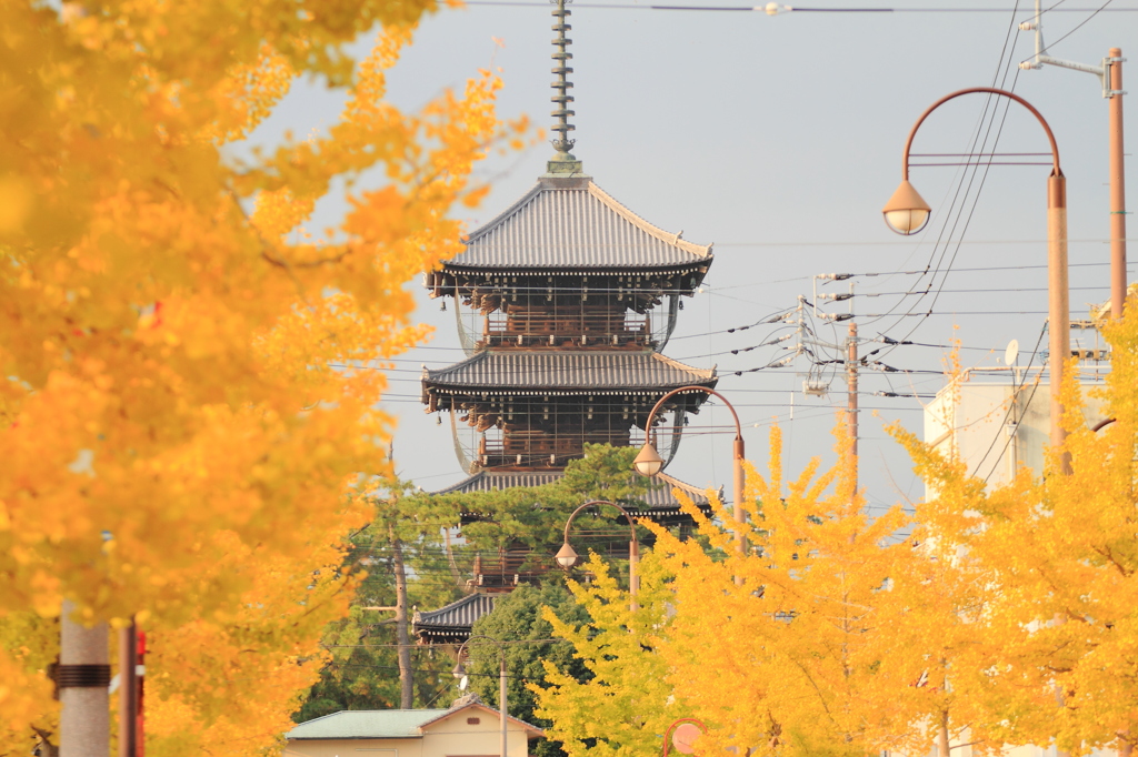 紅葉を見に行こうよう～善通寺～其の三