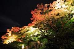 紅葉を見に行こうよう～栗林公園～其の三