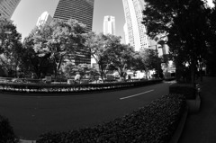 DSC_0035