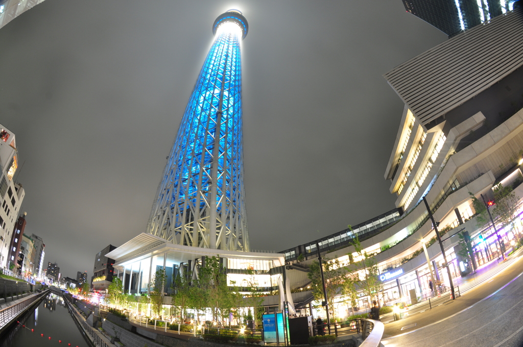 Skytree