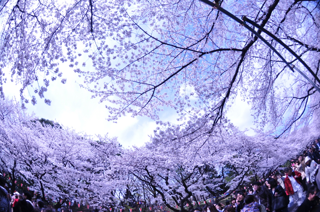 上野公園