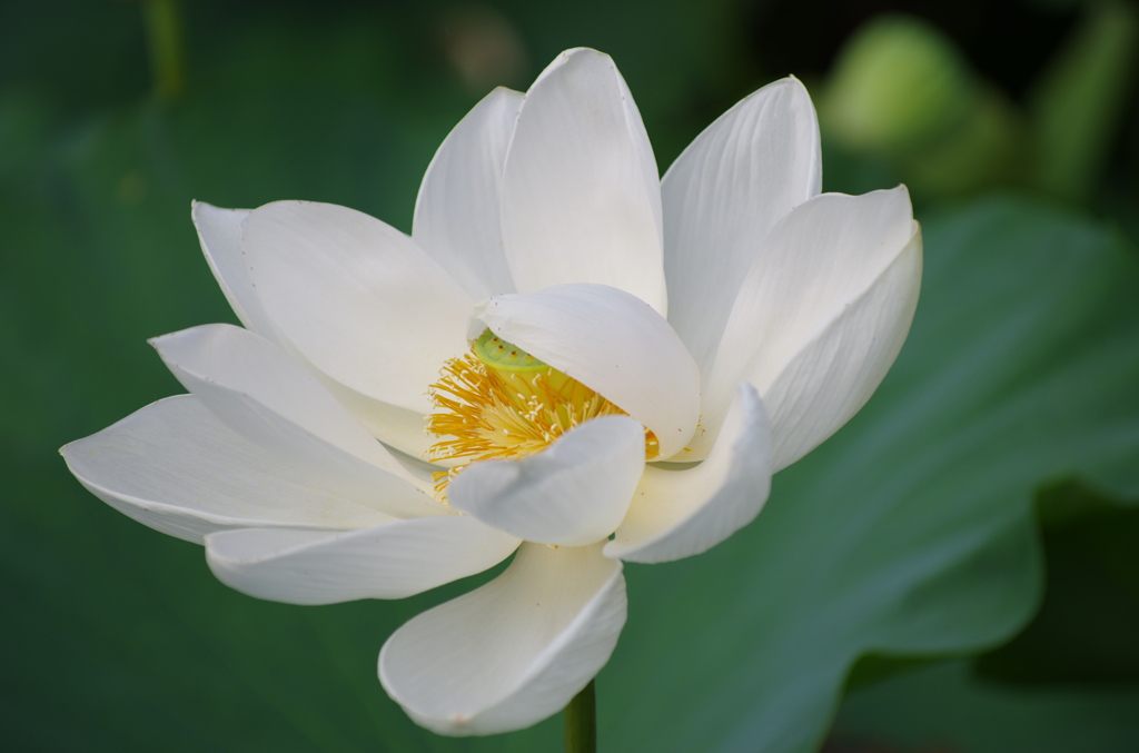 恥ずかしい・・・