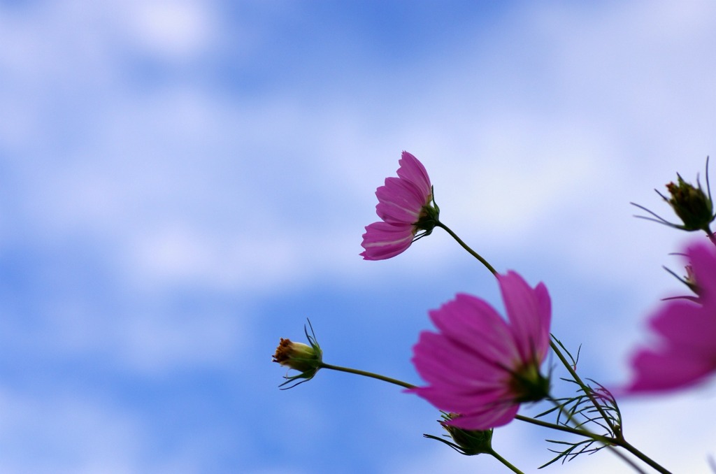 青空・・・？