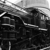 D51 231