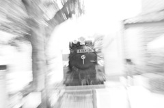 D51 231