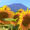 夏バテ