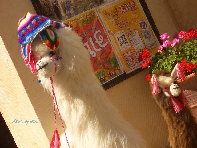 ここどこ？