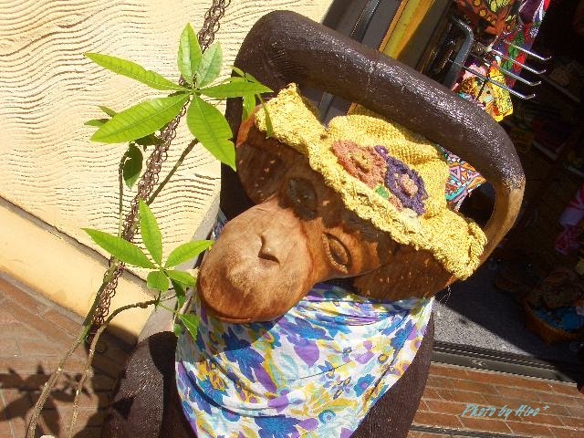 しぇー