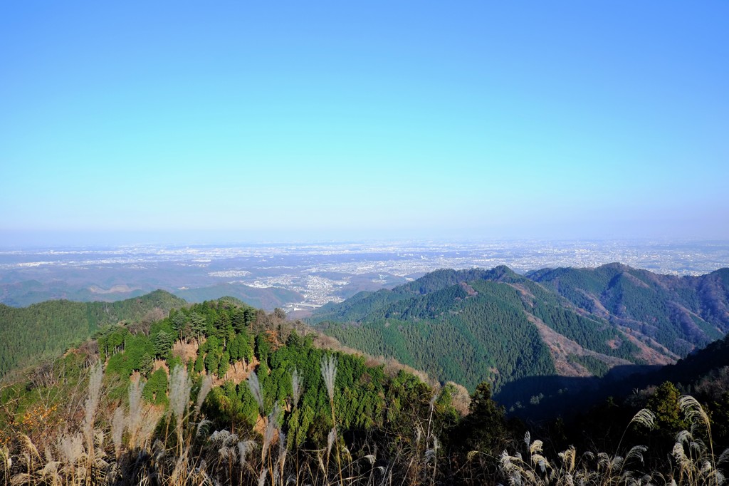 影信山より関東平野をのぞむ
