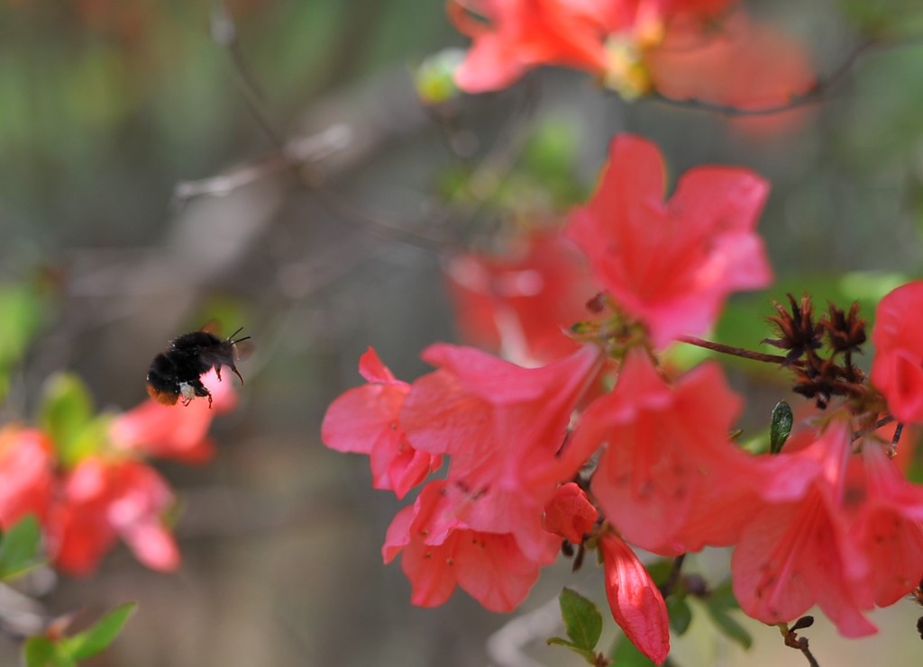 Hovering