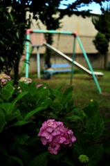 雨上がりの公園