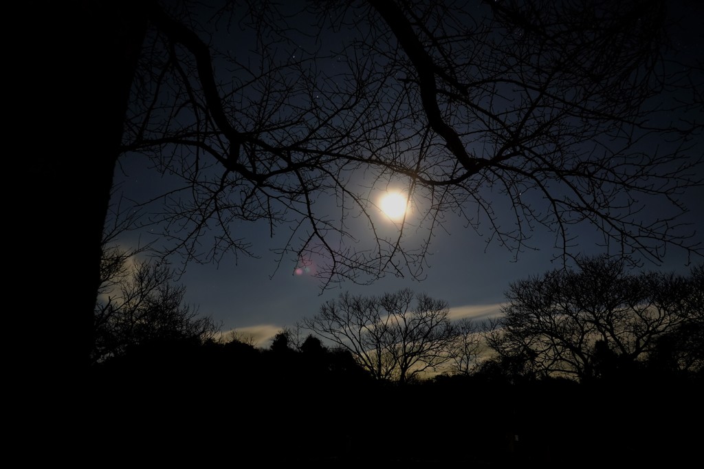 月夜-2