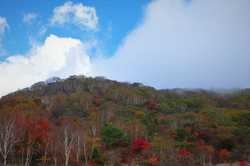 赤城山小沼の紅葉