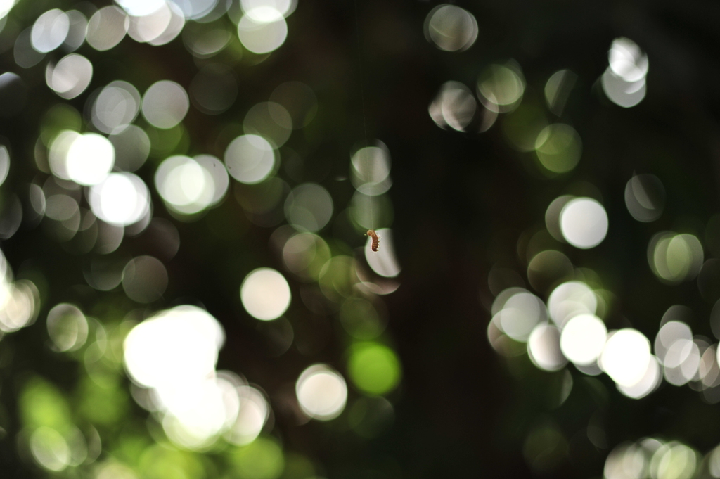 50mm F1.8G 丸ボケチェック