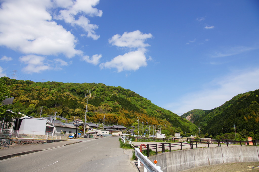 新緑の季節