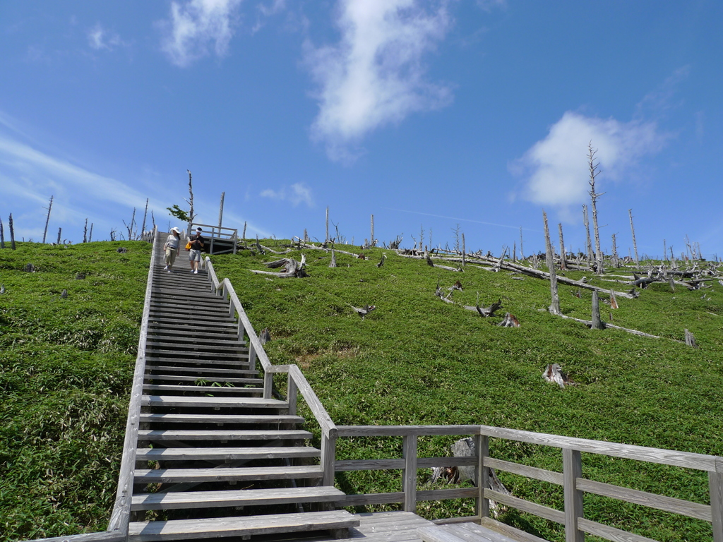 大台ヶ原