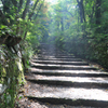 登山道