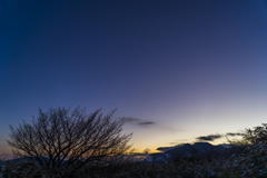 朝の空気