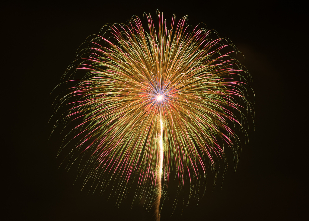 神無月の夜の花