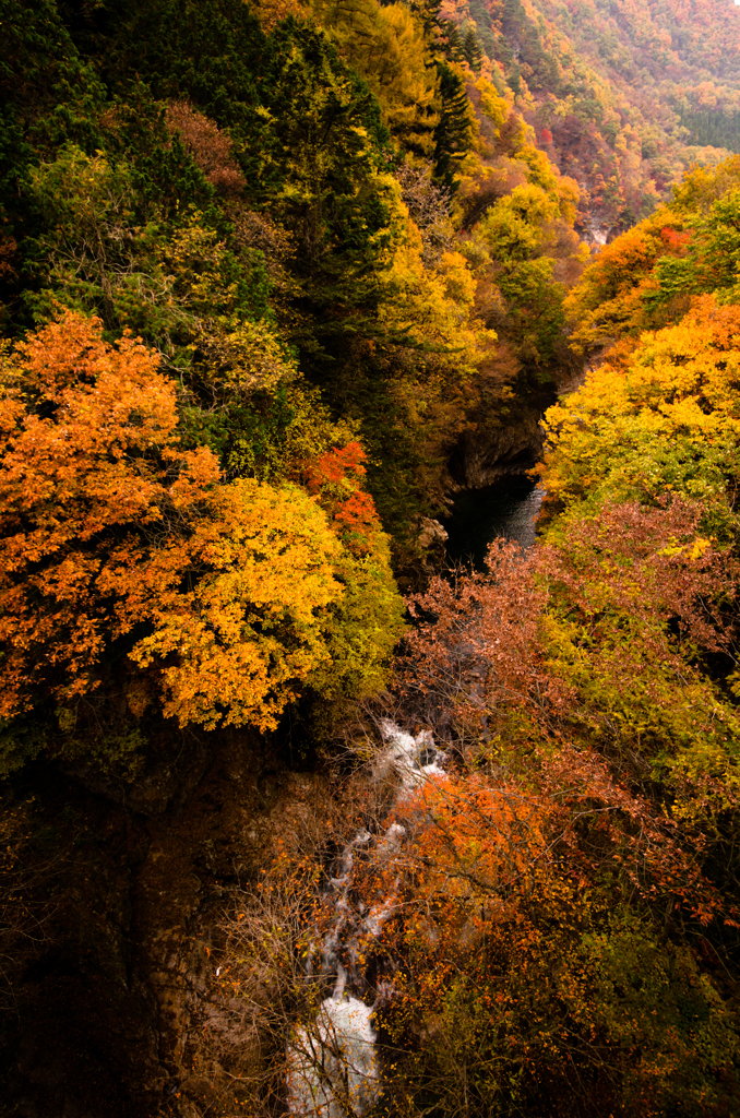 紅葉のなだれ