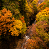 紅葉のなだれ