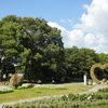 大阪市立長居植物園