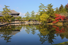 東大寺（鏡池より）