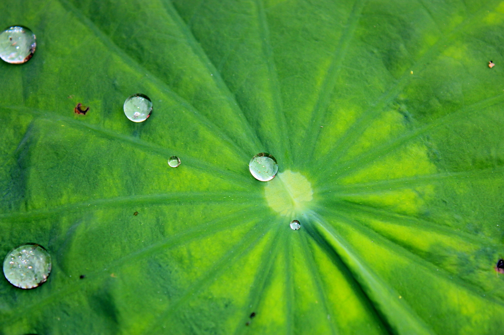 撥水！