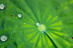 撥水！