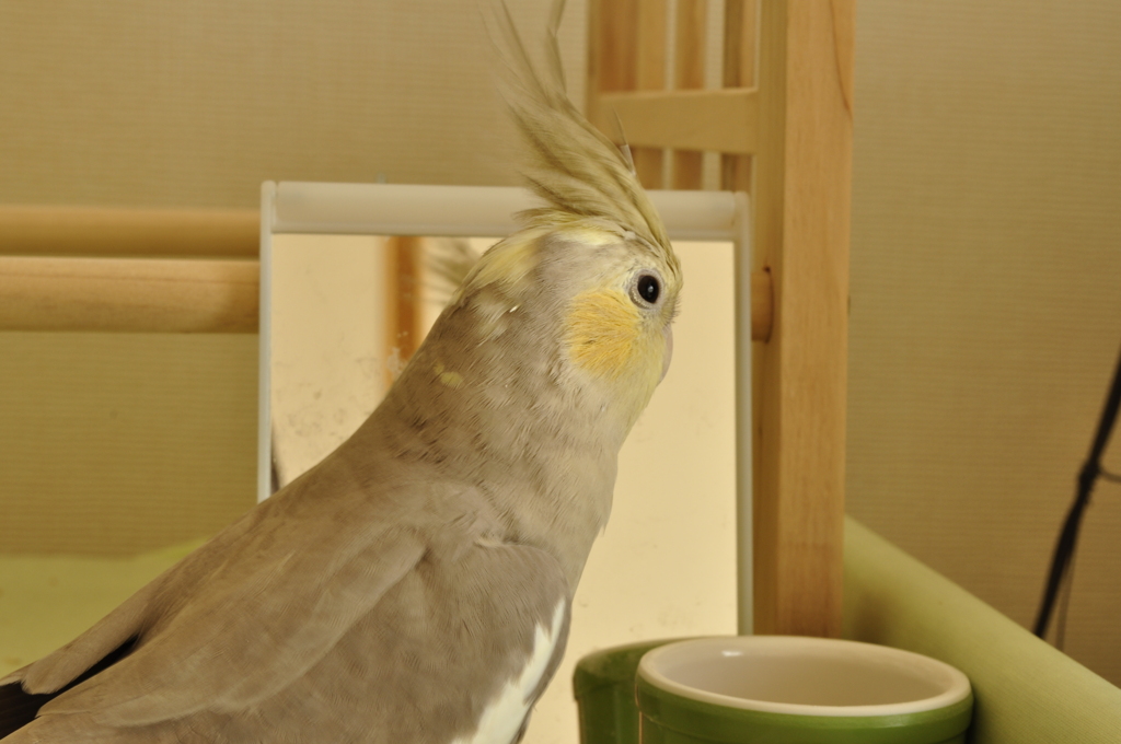 ちゃんと見てるよ
