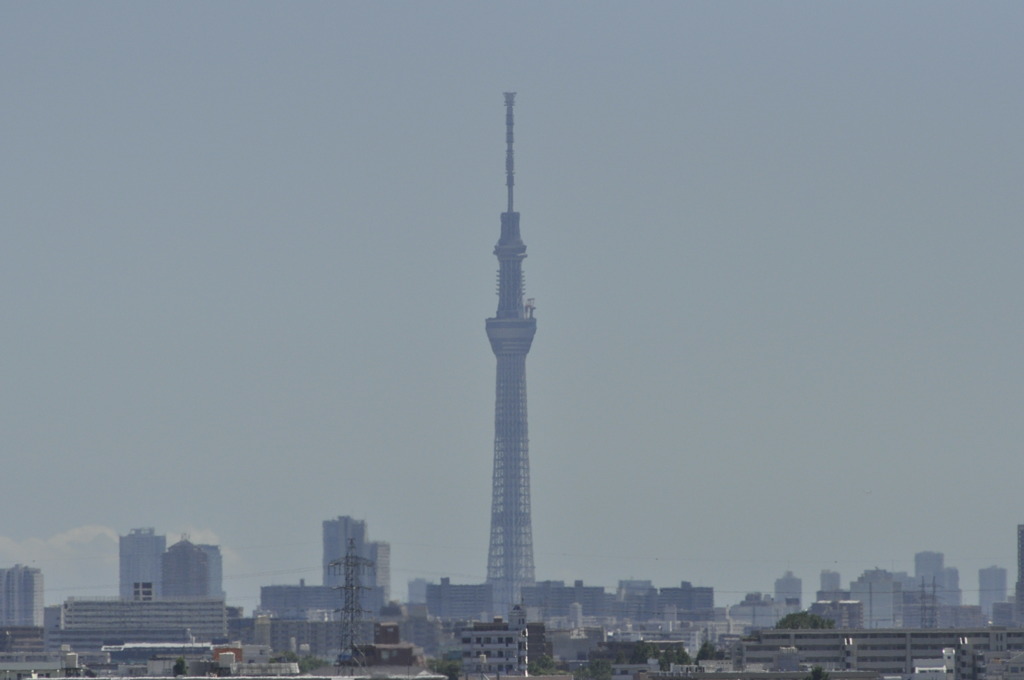 スカイツリー