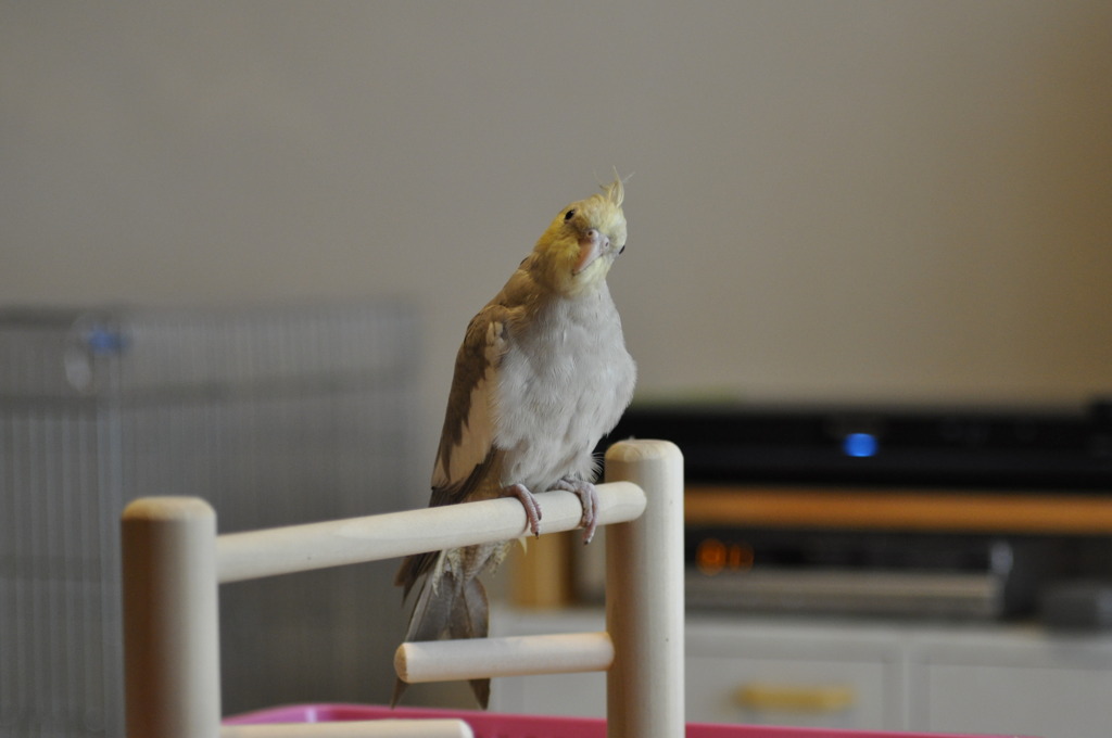 ん？