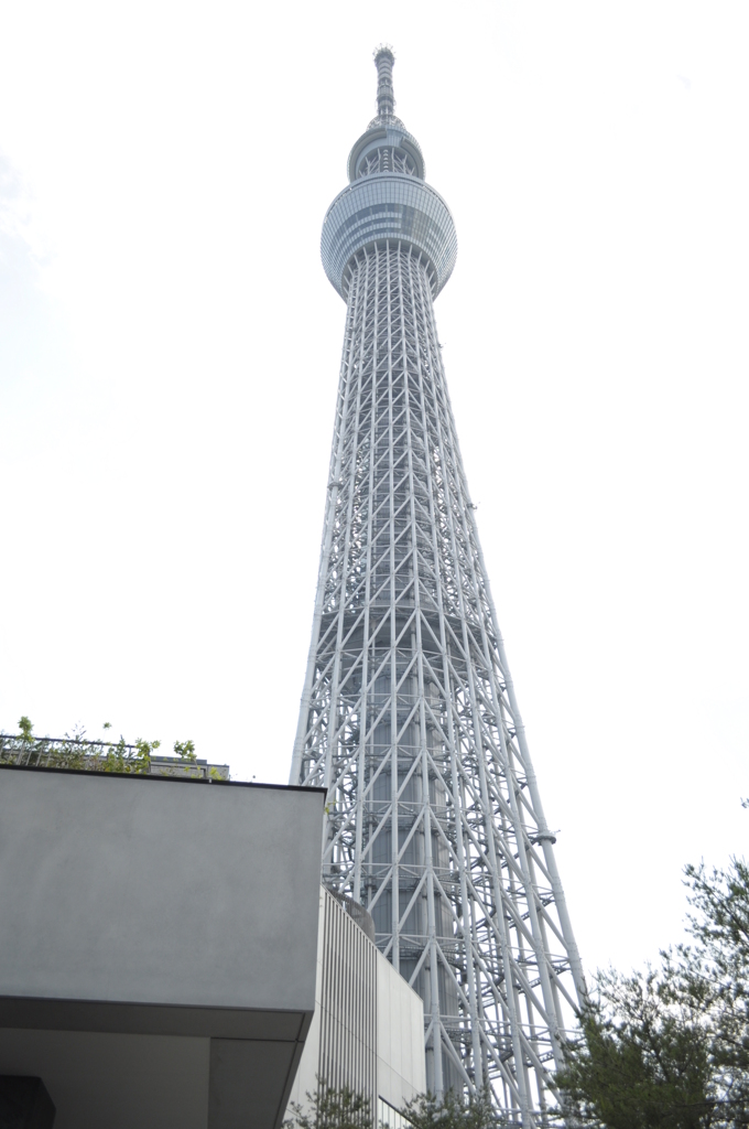 スカイツリー