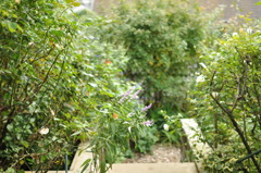 イングリッシュガーデンローズカフェ