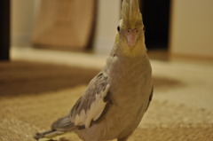 ちゃんと撮れてるの？！