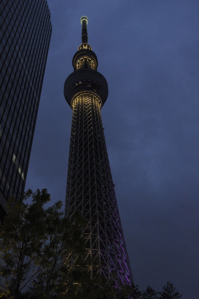 スカイツリー