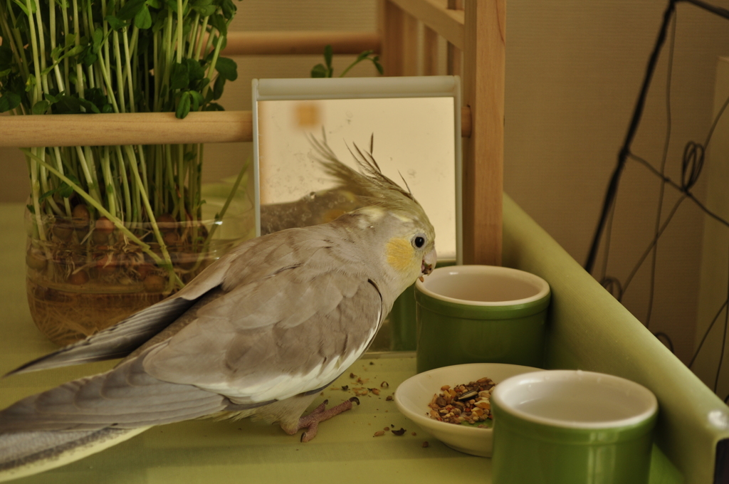 おいちいよ～♪