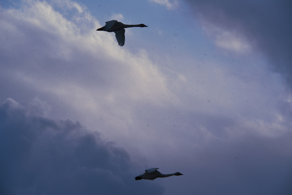 一瞬の青空