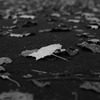 leads to fall